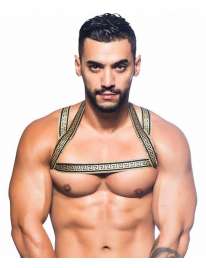 Harness Andrew Christian Massive Gladiator 600058