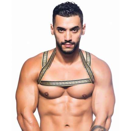 Harness Andrew Christian Massive Gladiator,600058