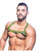 Harness Andrew Christian Master,600075