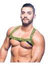 Harness Andrew Christian Master,600075