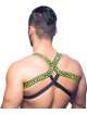 Harness Andrew Christian Master,600075