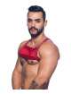 Harness Andrew Christian Crave Mesh Vermelho 600085