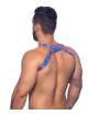 Harness Andrew Christian Slay Azul,600086