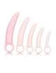 Set of Vaginal Dilators Inspire 5 Pieces 146043