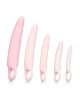 Set of Vaginal Dilators Inspire 5 Pieces 146043