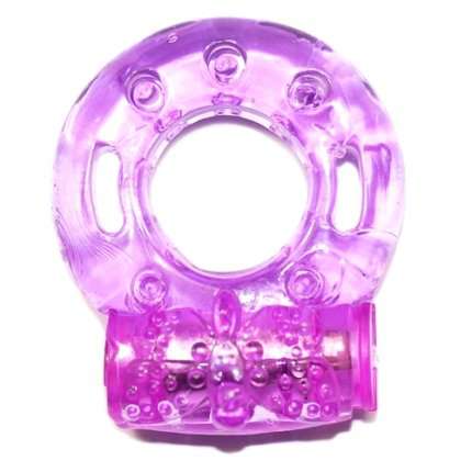 Cockring with Bullet Basic Purple 130052