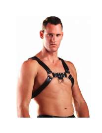 Harness H Couro Preto,1113544