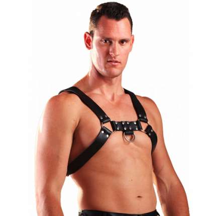 Harness H Couro Preto,1113544