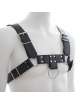 Harness H Couro Preto,1113544