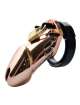 Chastity belt Male Pink Gold,1433553