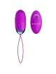 Egg, Vibrating, Rechargeable, Jessica, with the Command 2113670