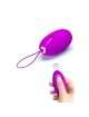 The egg Vibration is Rechargeable Providing you with a Command 2113671