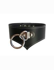 A collar made of Black Leather Posture,3343832