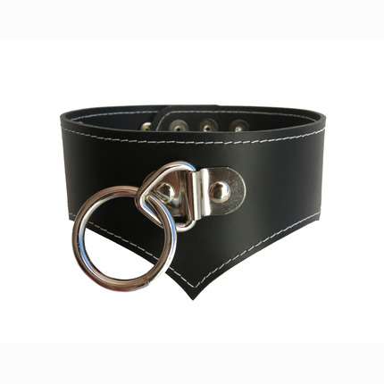 A collar made of Black Leather Posture,3343832