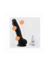 Dildo com Testículos Premium Preto Silicone Tessudo Crushious 23 cms 2264348