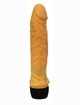 The vibrator is Realistic, Fred 16cm,2184464