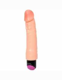 The vibrator is Realistic, Flexible and 25 cm,2184587