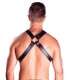 Harness Mister B Top Snap Studs,600105