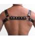 Harness Halter Black Black 600602