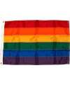 Flag Rainbow 40 x 60 cm 833600