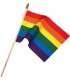 Flag Rainbow of hand with the trunk 10 x 15 cm 833500