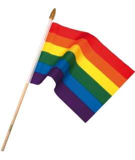 Flag Rainbow of hand with the trunk 10 x 15 cm 833500