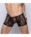 Boxers em Renda Transparente,124001