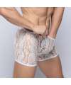 Boxers em Renda Transparente,124001