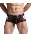 Mini-Boxers em Renda Transparente,124002