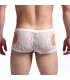 Mini-Boxers Lace Transparent 124002