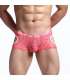 Mini-Boxers Lace Transparent 124002