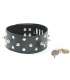 Collar with Spikes and Padlock 334015