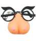 Glasses Nose Image 350010