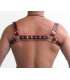 Harness Halter Black Red 600634