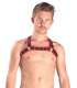 Harness X-Back Premium Red 601732