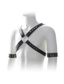 Harness Preto com Braçadeiras,111019