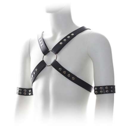 Harness Preto com Braçadeiras,111019