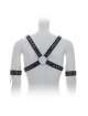 Harness with Black cable Ties 111019