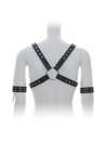 Harness with Black cable Ties 111019