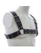 Harness H Preto,111020