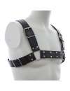 Harness H Black 111020