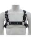 Harness H Black 111020