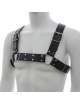 Harness H Black 111020