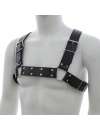 Harness H Preto,111020