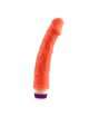 Vibrator Positive Vibes 23 cm 218013