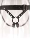 Harness with Strap-on SR Command Dildo Hollow 24 cm 150017